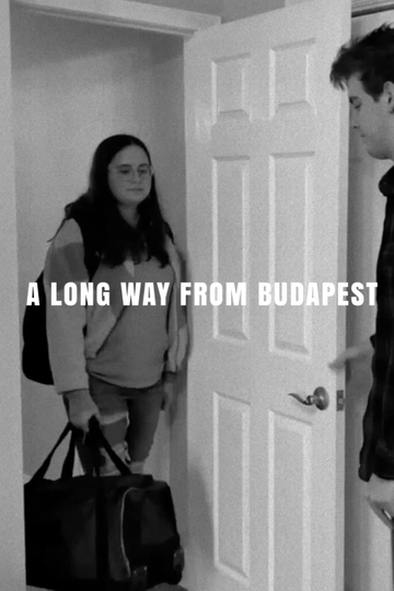 A Long Way from Budapest Poster