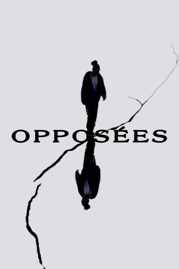 Opposites Poster