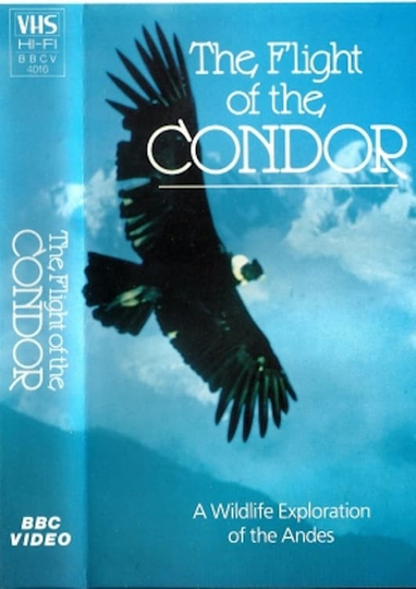 The Flight of the Condor