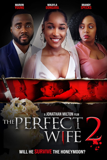 The Perfect Wife 2 Poster