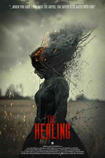 The Healing poster
