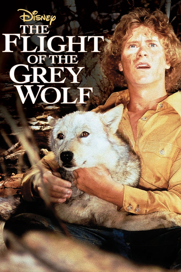 The Flight of the Grey Wolf