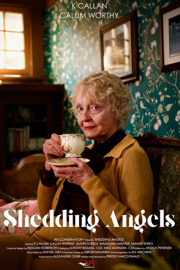 Shedding Angels Poster