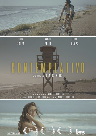 Contemplativo Poster