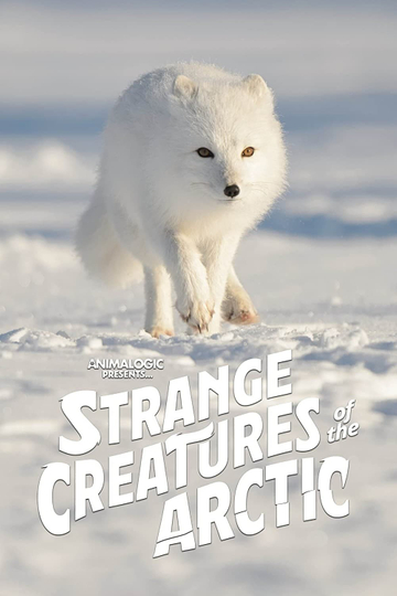 Strange Creatures of the Arctic Poster