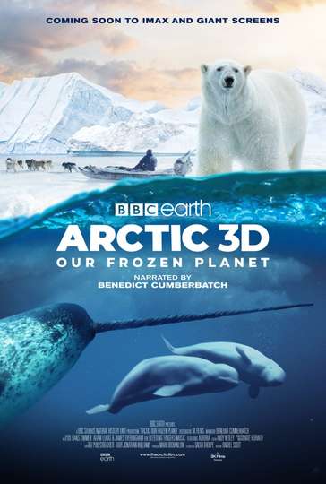 Arctic 3D: Our Frozen Planet movie poster
