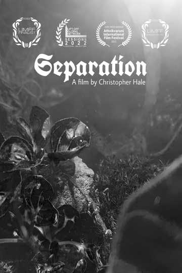 Separation Poster