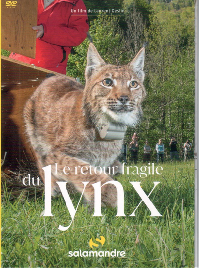 The Fragile Return Of The Lynx