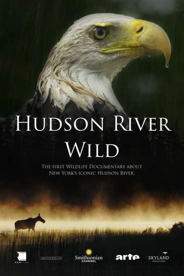 Hudson River Wild Poster