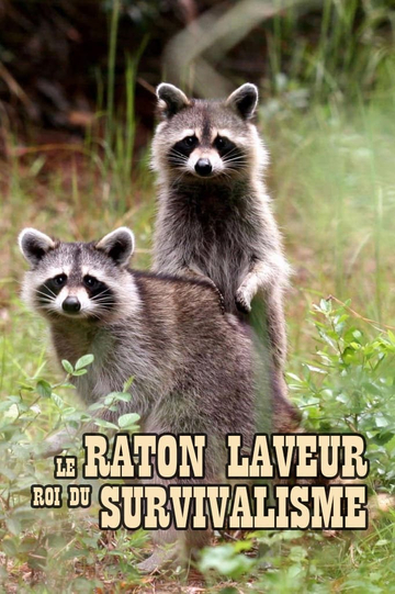 The Raccoon; The King of Survivalism Poster