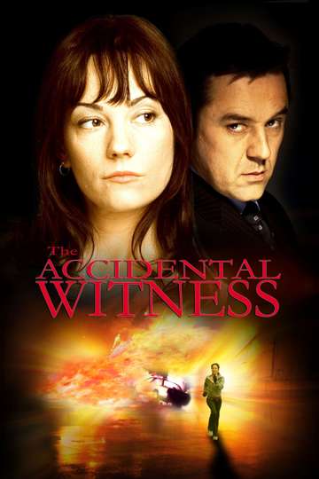 The Accidental Witness Poster