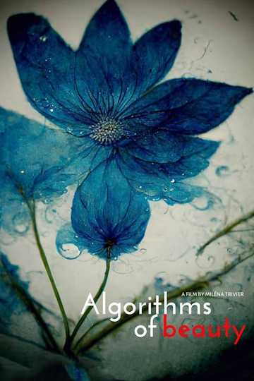 Algorithms of Beauty Poster