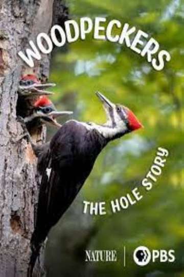 Woodpeckers: The Hole Story Poster