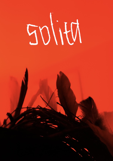 Solita Poster