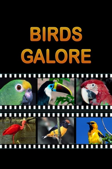 Birds Galore