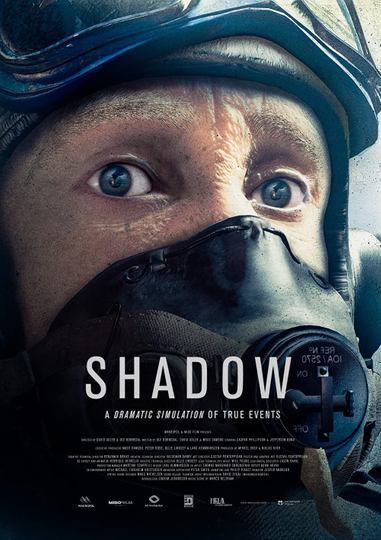 Shadow Poster