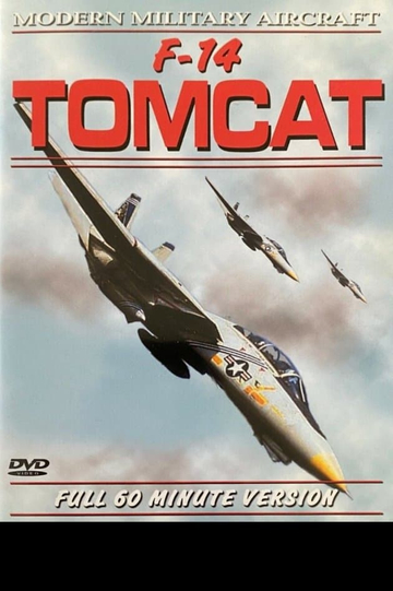 F14 Tomcat