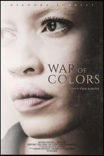 War of Colors Poster