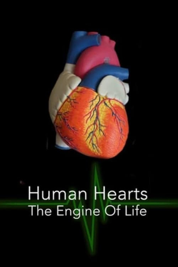 Human Hearts The Engine of Life