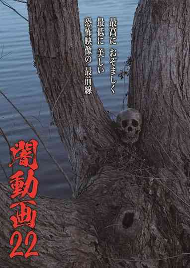 Tokyo Videos of Horror 22 poster