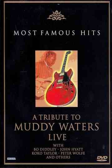 A Tribute to Muddy Waters - Live