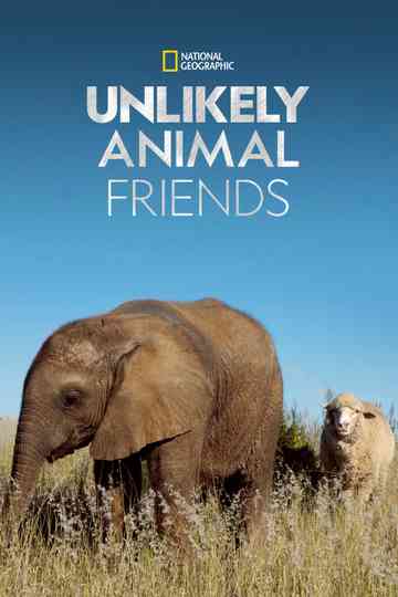 Unlikely Animal Friends