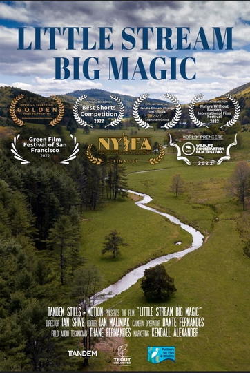 Little Stream, Big Magic Poster