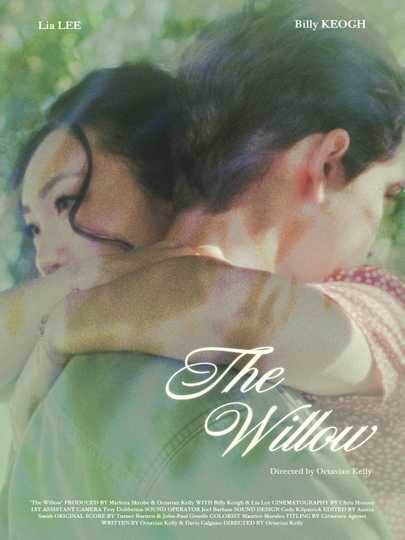 The Willow