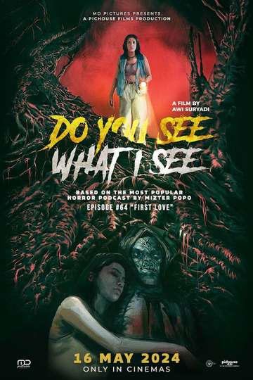 Do You See What I See Poster