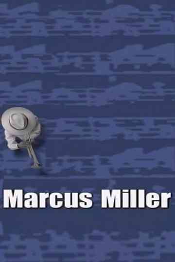 Marcus Miller  AVO Session