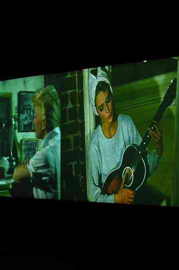 Video Quartet