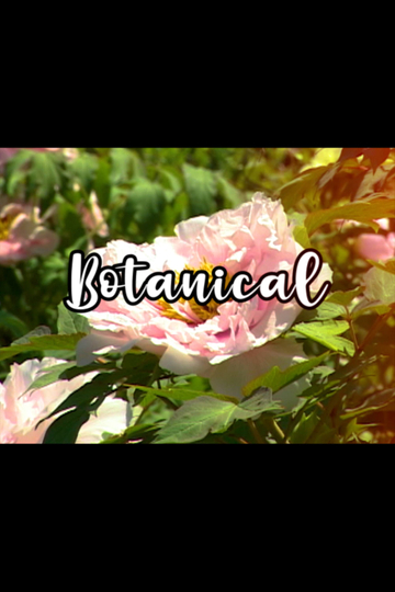 Bloom Skateboards Presents Botanical Poster