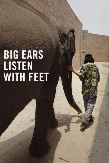 Big Ears Listen with Feet