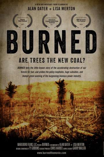 Burned Are Trees the New Coal Poster