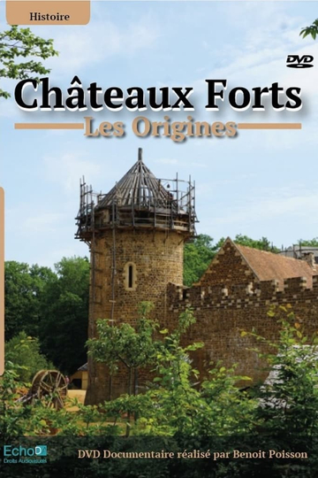 Châteaux-forts : Les origines