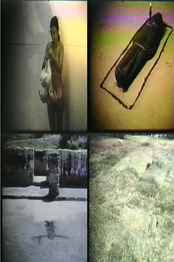 Ana Mendieta Selected Film Works