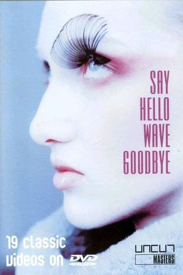 Say Hello Wave Goodbye