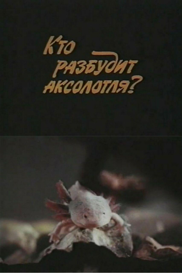 Who Will Wake Up the Axolotl?