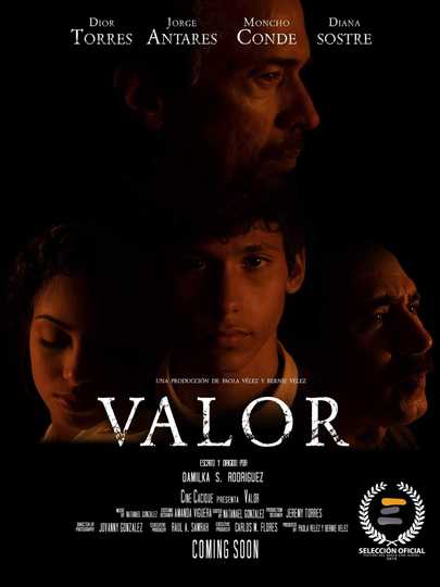 Valor Poster