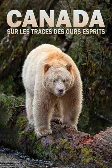 Der Wächter der Geisterbären Poster