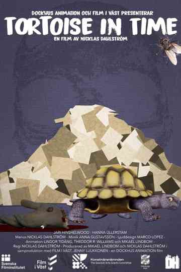 Tortoise in Time