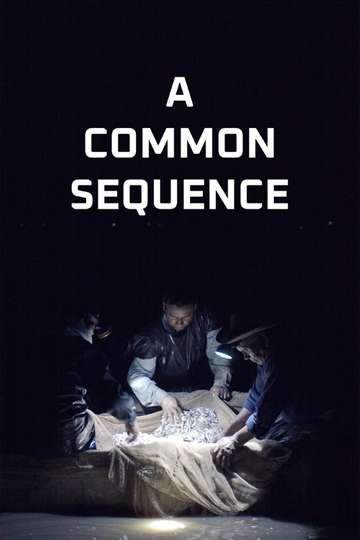 A Common Sequence Poster