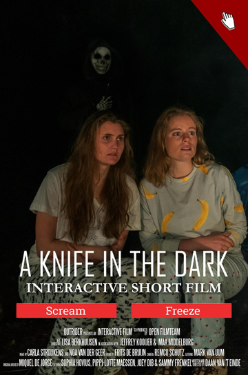 A Knife in the Dark Poster