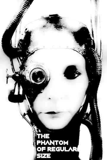 The Phantom of Regular Size Poster