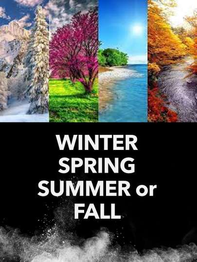 Winter Spring Summer or Fall Poster