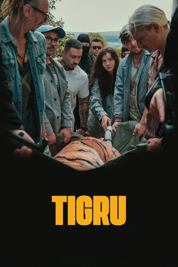 Day of the Tiger Poster