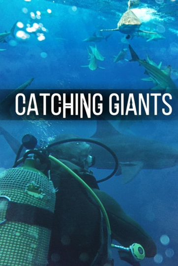 Catching Giants Zambezi Shark Poster