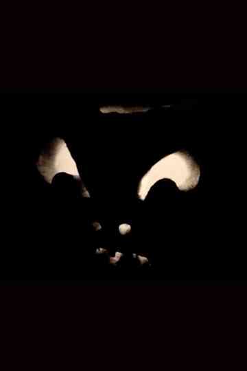Jack-O-Lanterns