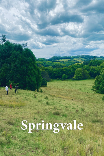 Springvale Poster