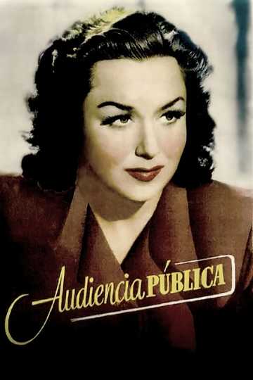 Audiencia pública Poster